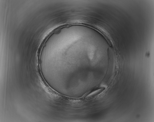 X0000115561031200911271452