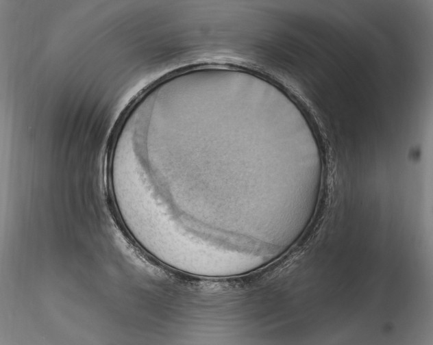 X0000115561032200911271452