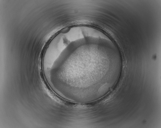 X0000115561034200911271452