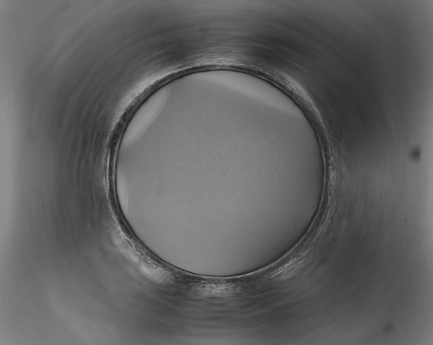 X0000115561035200911271452