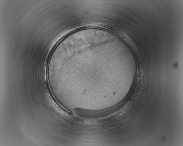 X0000115561036200911271452