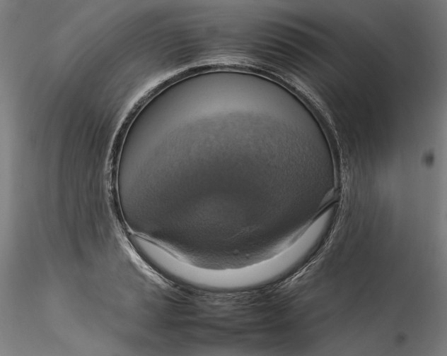 X0000115561037200911271452