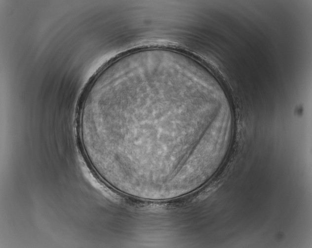 X0000115561038200911271452