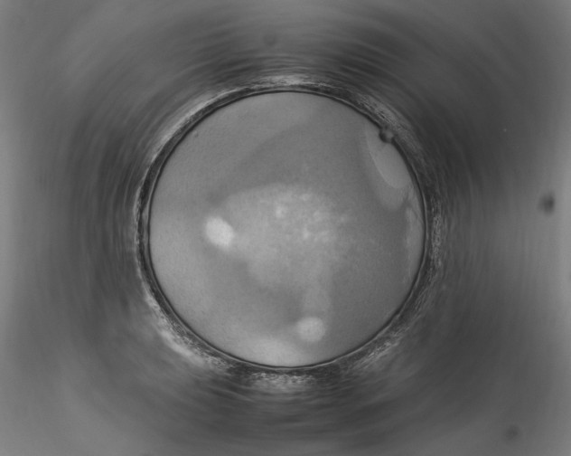 X0000115561039200911271452