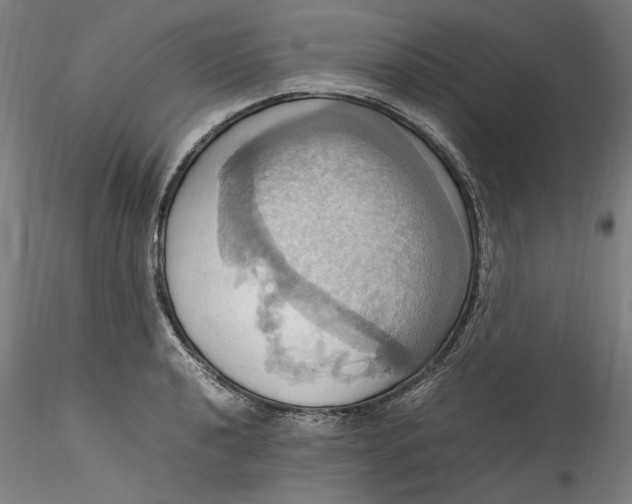 X0000115561040200911271452