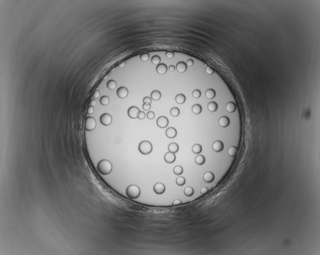 X0000115561041200911271452