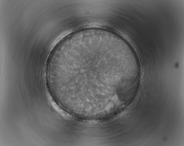 X0000115561042200911271452