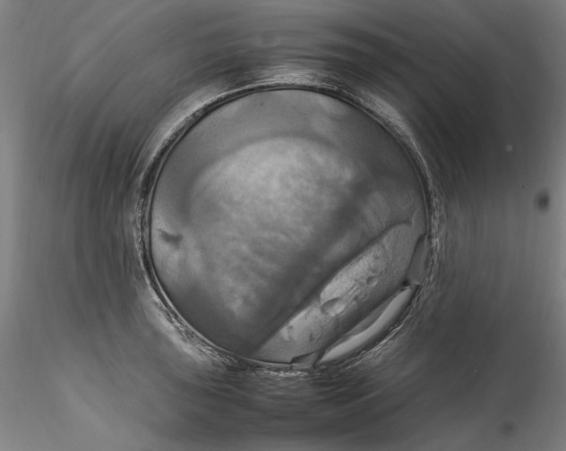 X0000115561043200911271452