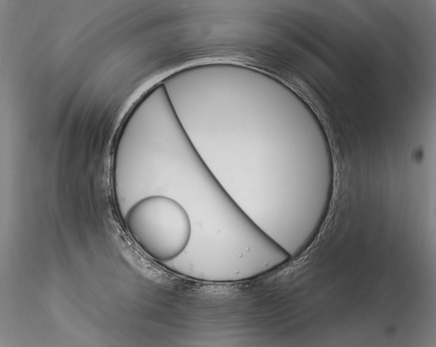 X0000115561044200911271452