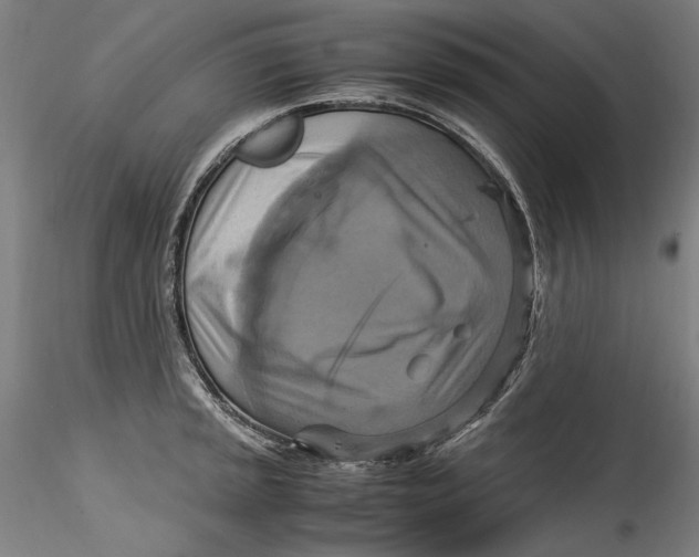 X0000115561045200911271452