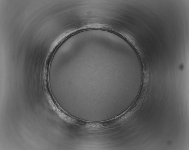 X0000115561046200911271452