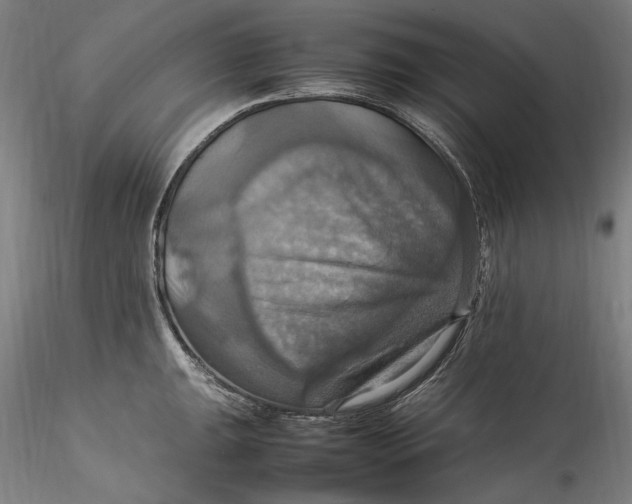 X0000115561047200911271452