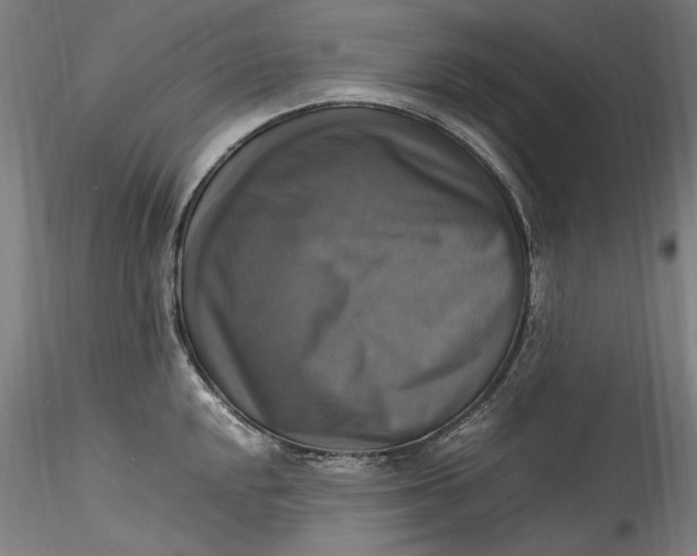 X0000115561048200911271452