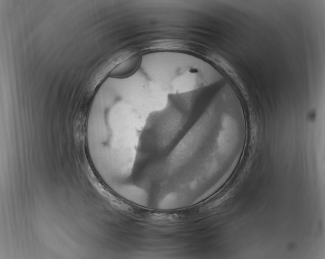 X0000115561049200911271452