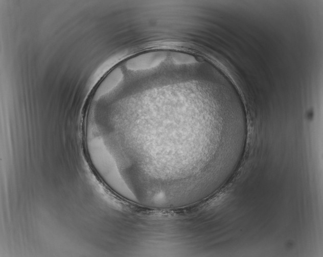 X0000115561050200911271452