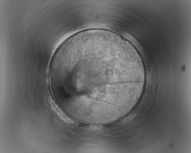 X0000115561052200911271452