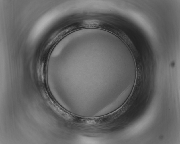 X0000115561054200911271452