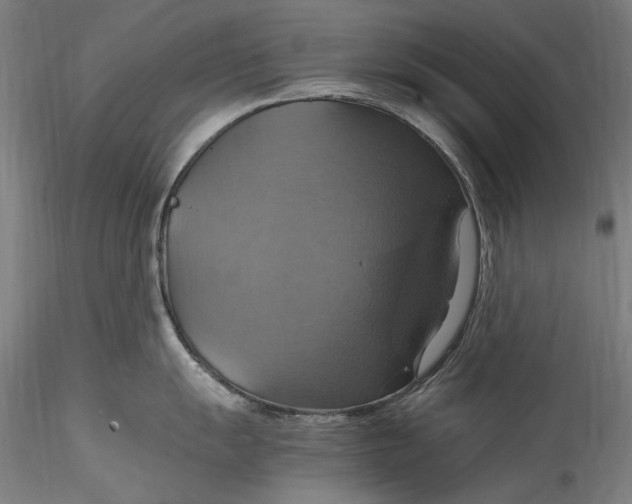 X0000115561055200911271452