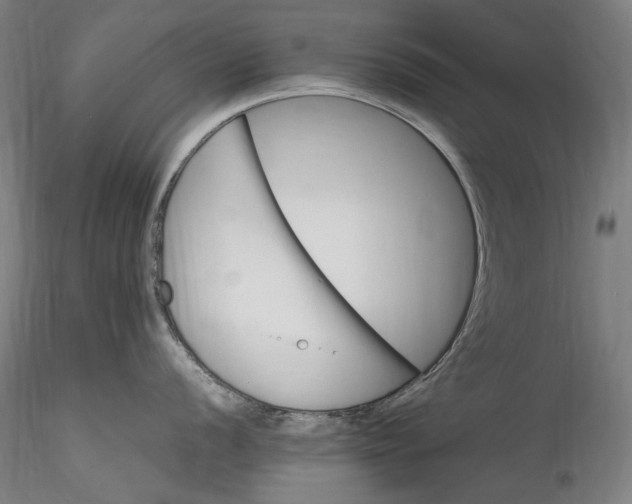 X0000115561056200911271452