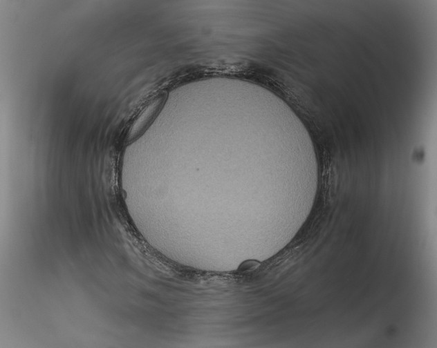 X0000115561058200911271452