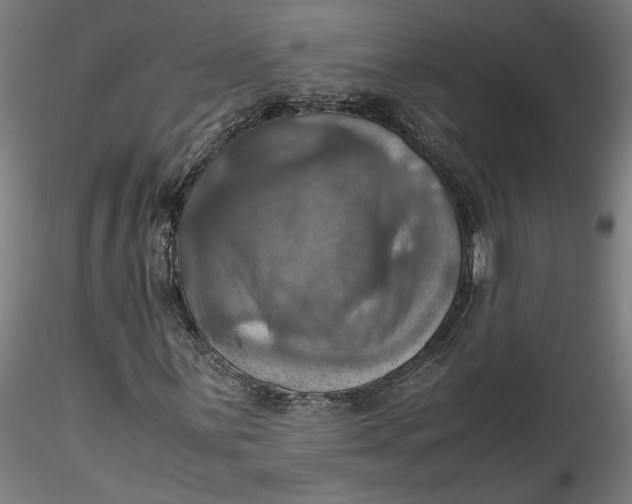 X0000115561059200911271452