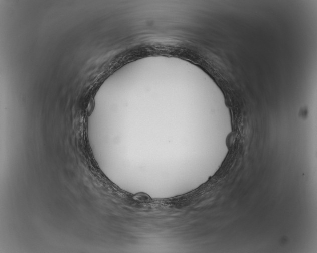 X0000115561061200911271452