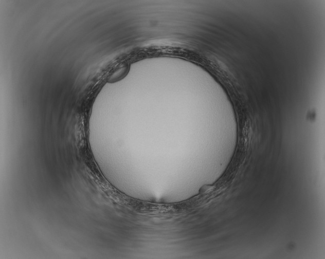 X0000115561062200911271452