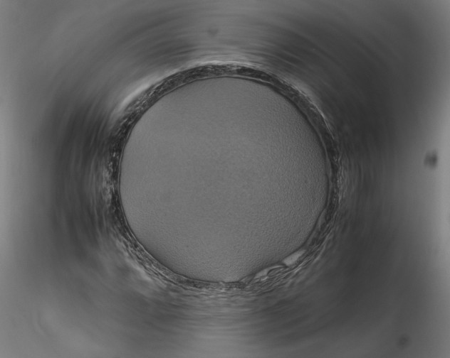 X0000115561064200911271452