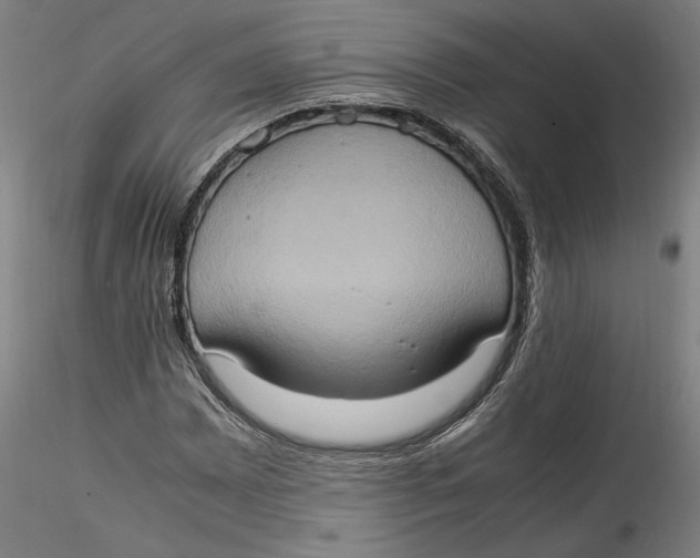 X0000115561065200911271452