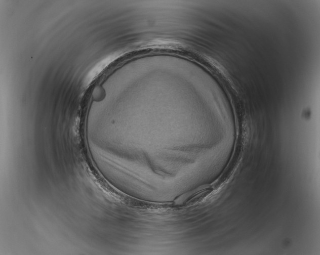 X0000115561066200911271452