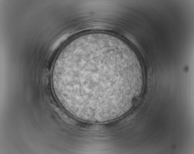 X0000115561067200911271452