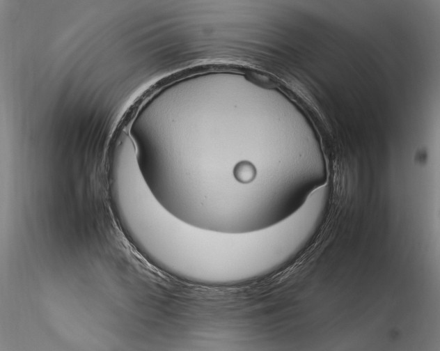 X0000115561068200911271452