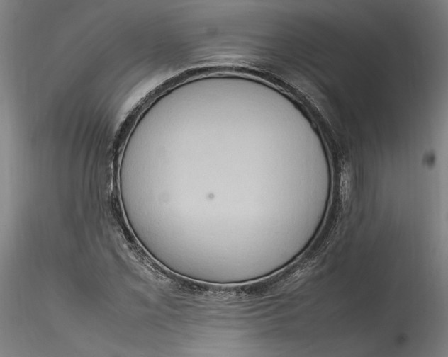 X0000115561069200911271451