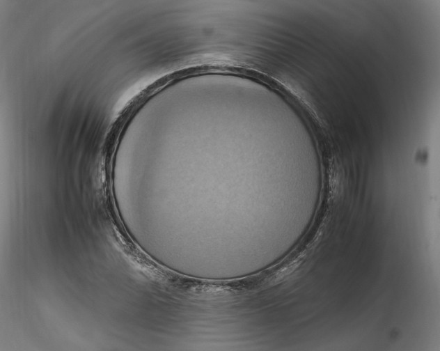 X0000115561070200911271451