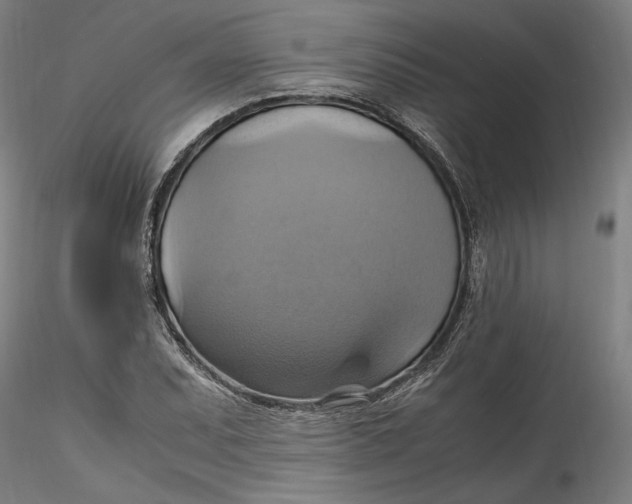 X0000115561071200911271451