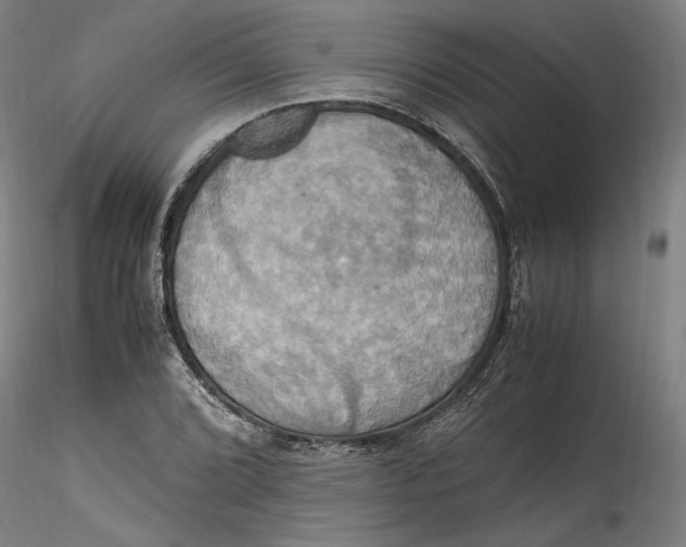 X0000115561072200911271451