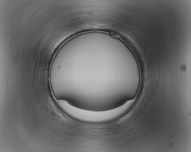 X0000115561073200911271451