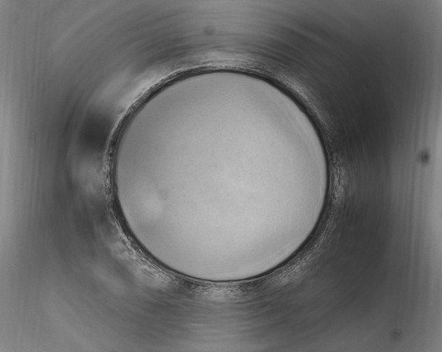 X0000115561074200911271451