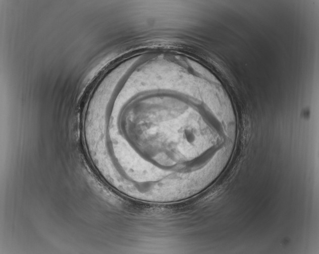 X0000115561075200911271451