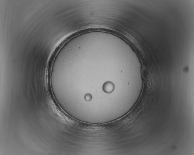 X0000115561076200911271451