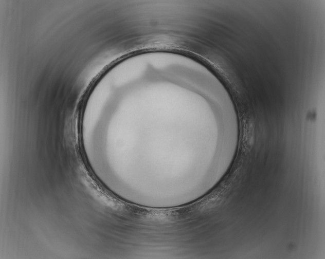 X0000115561078200911271451