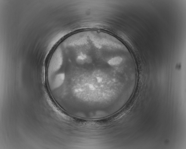 X0000115561079200911271451