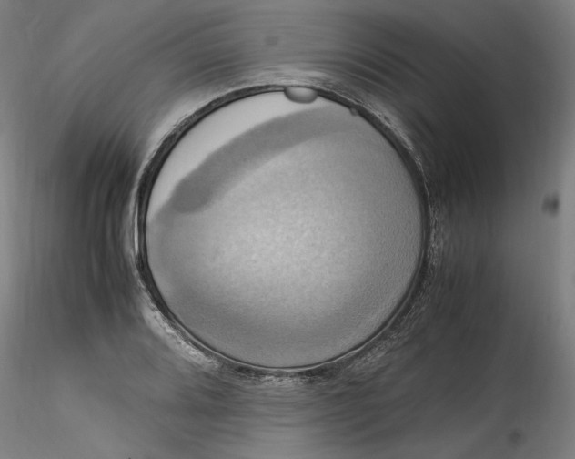 X0000115561080200911271451