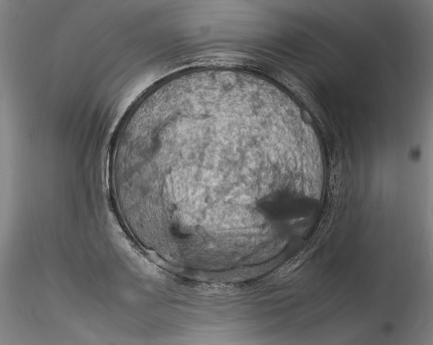 X0000115561083200911271451