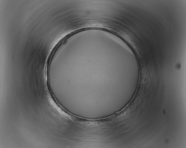 X0000115561084200911271451