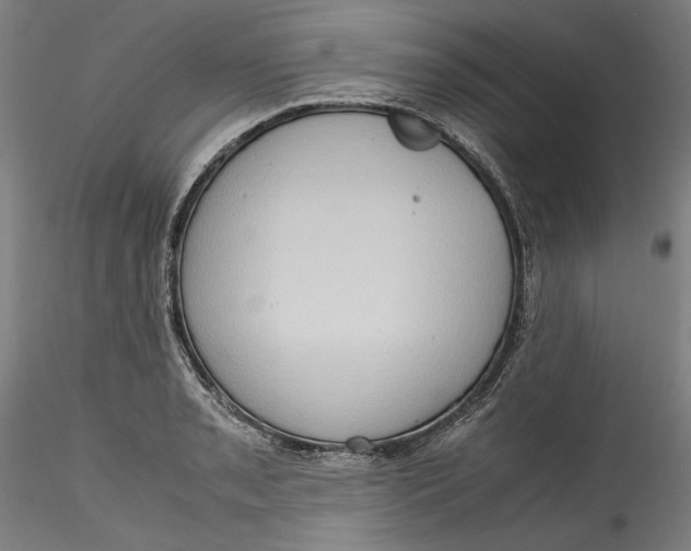 X0000115561085200911271451