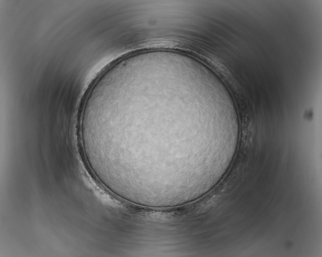 X0000115561086200911271451