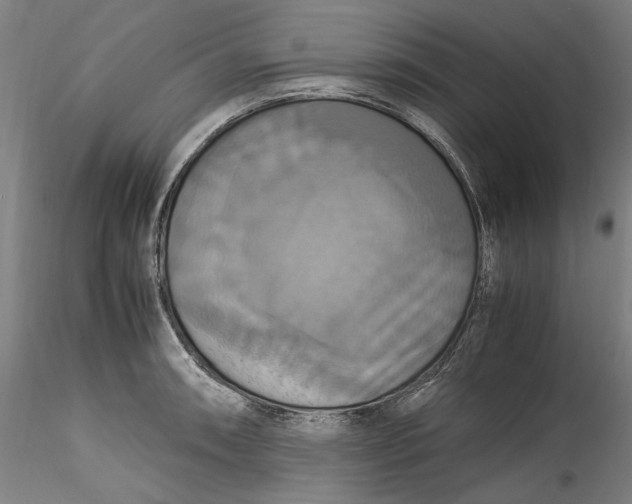 X0000115561090200911271451