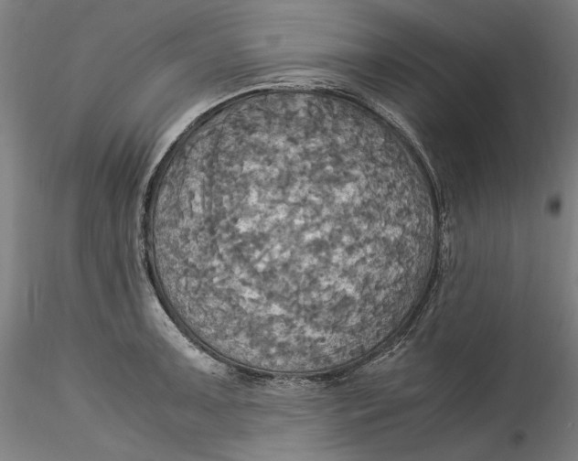 X0000115561091200911271451