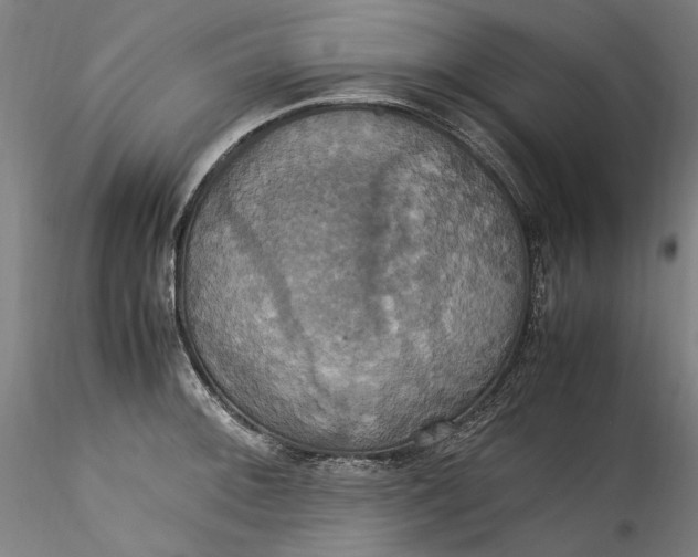 X0000115561092200911271451